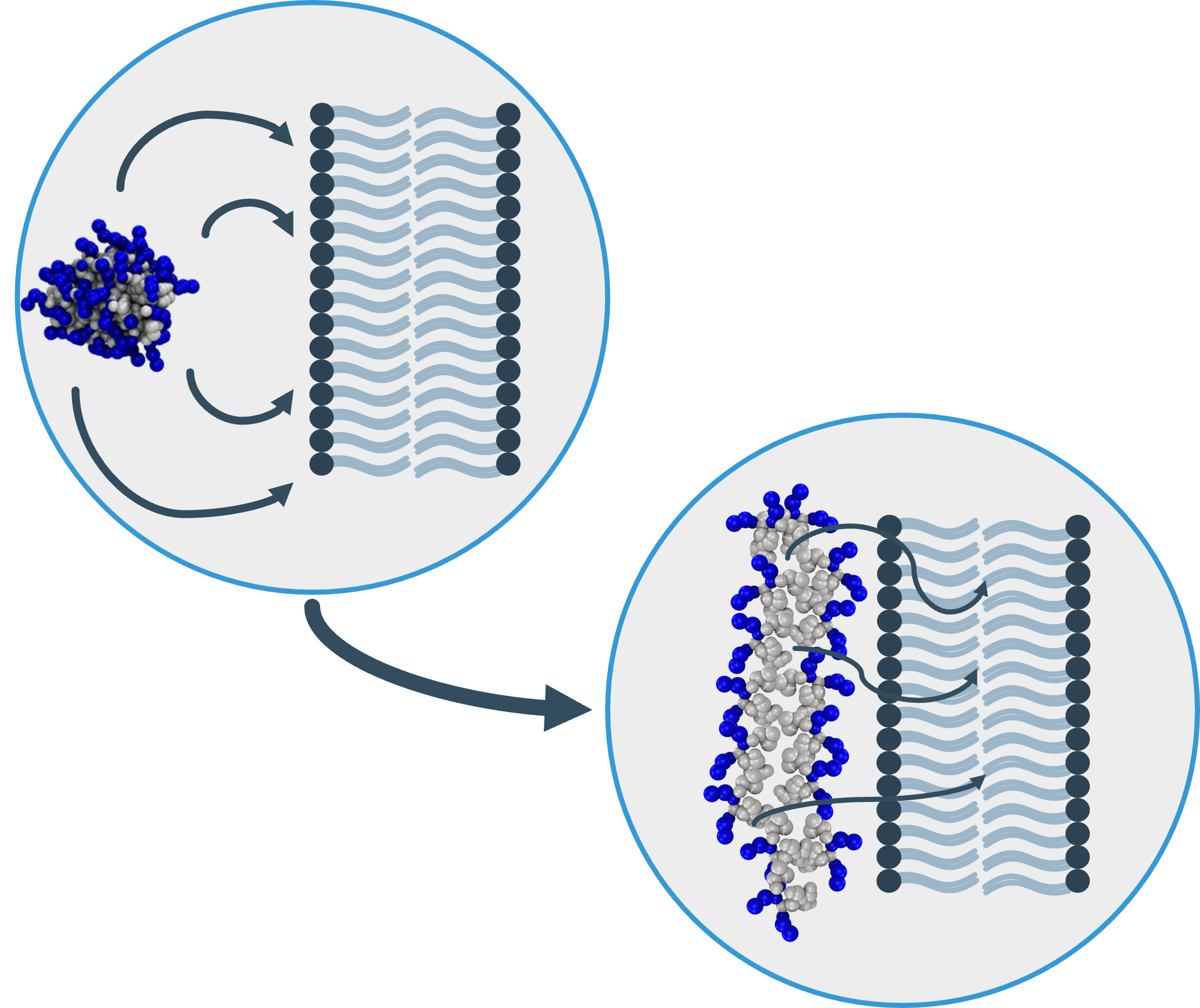 Antimicrobial technology 7