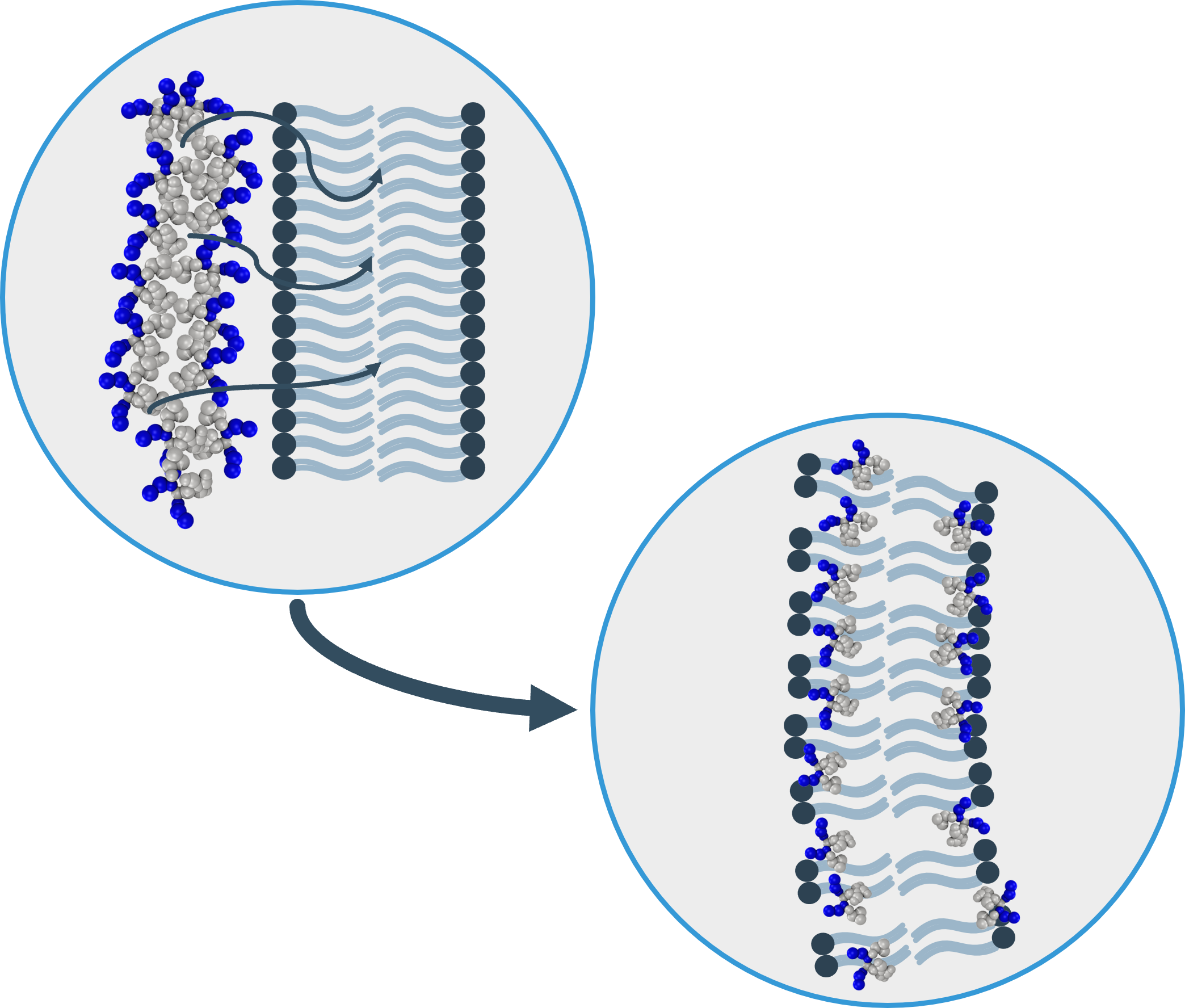 Antimicrobial technology 8