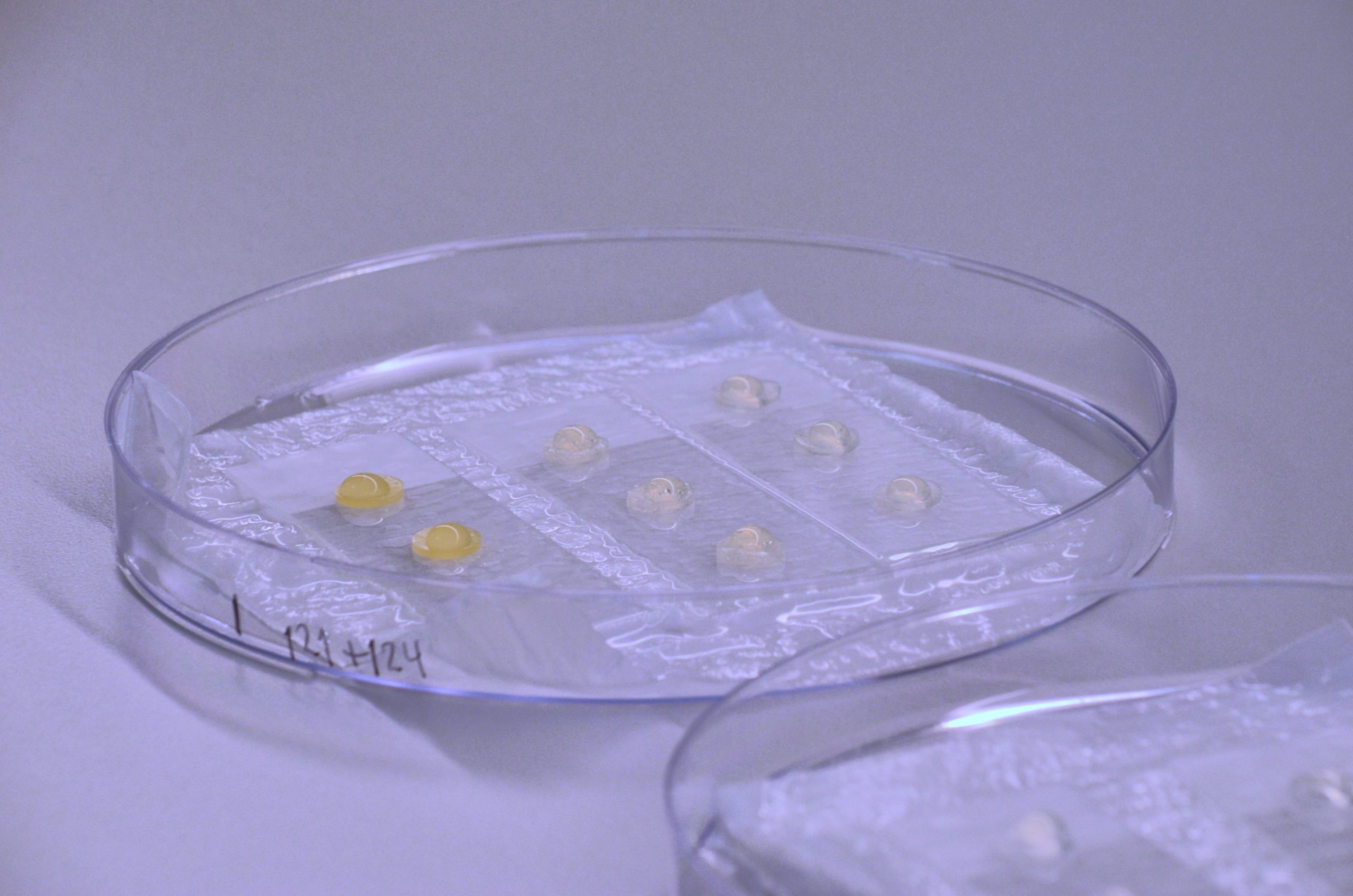 Antimicrobial technology 10